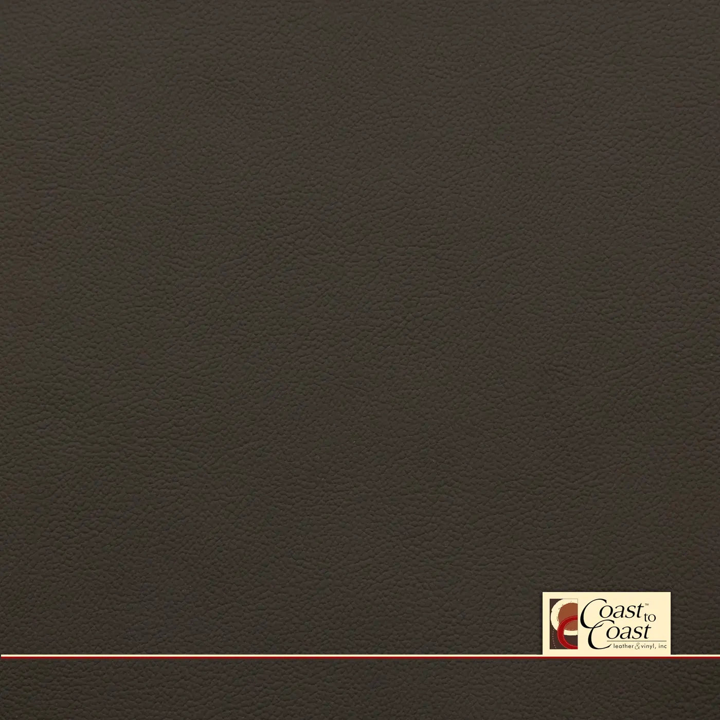 Chrysler Dk Khaki Plain Vinyl