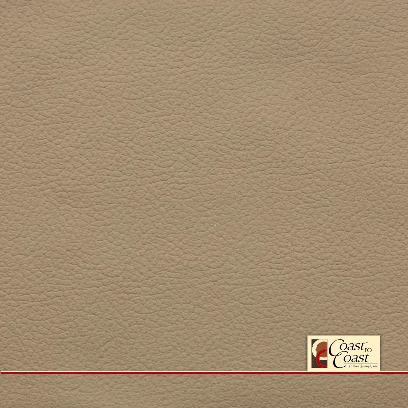 Ford Camel Plain Vinyl