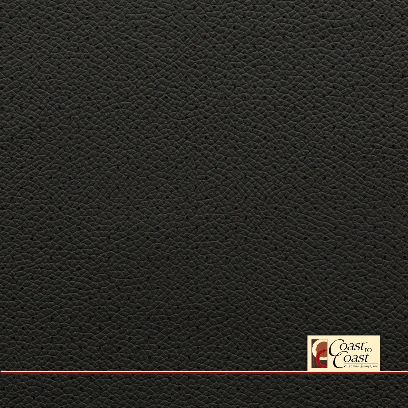 Jet Black Small Hampton (1/4In) Vinyl