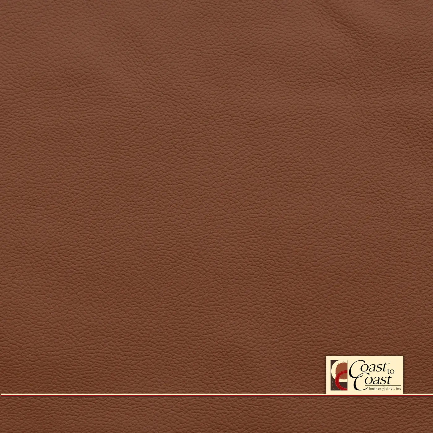 Ford Ginger Plain Vinyl