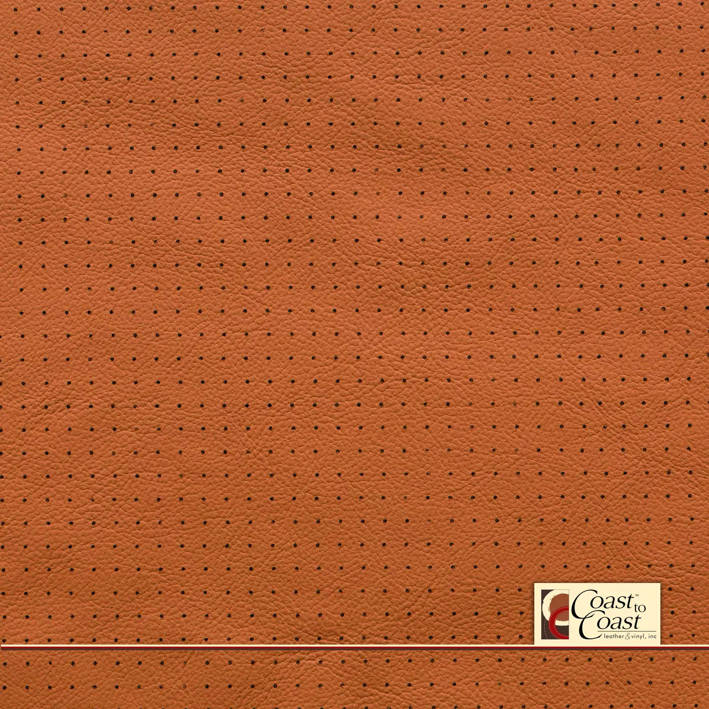 Gm Cinnamon Small Squared Perf (1/4In) Vinyl