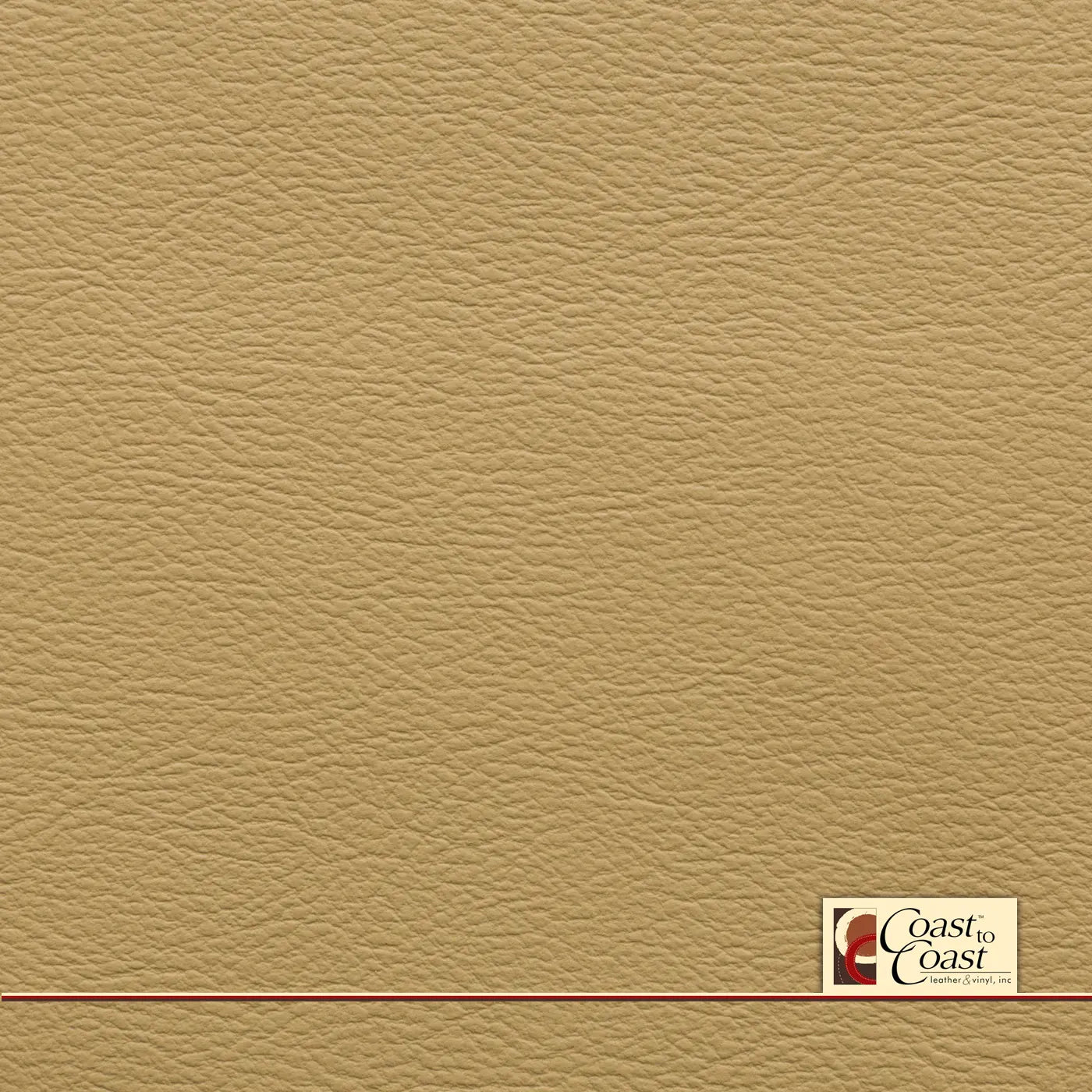 Chrysler Heritage Tan Plain Vinyl